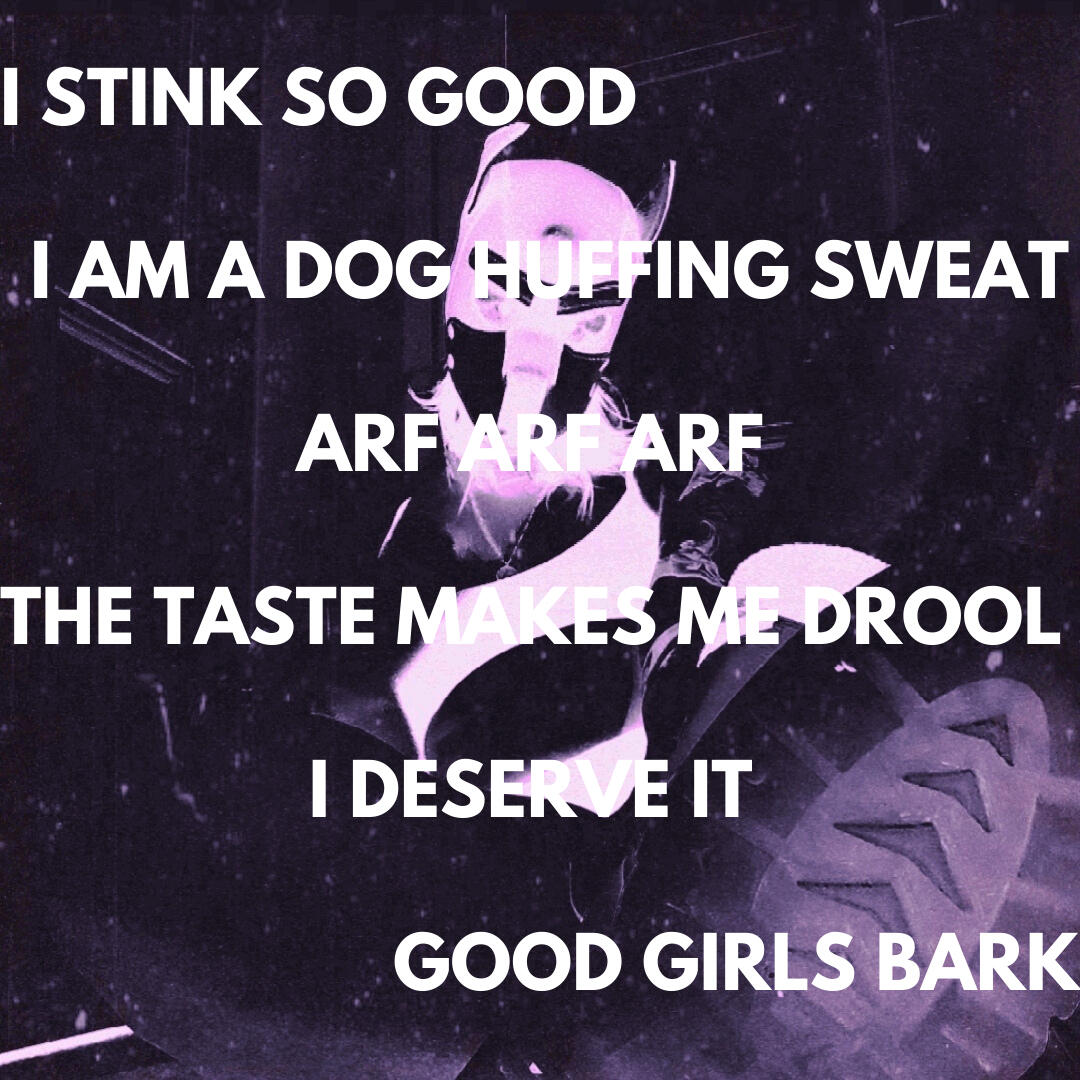 i am a dog... (2024)